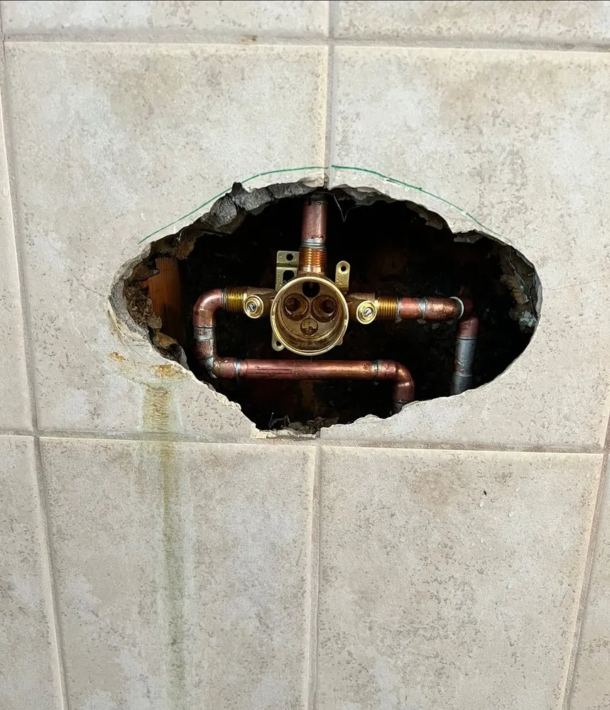 Slide of Primal Plumbing