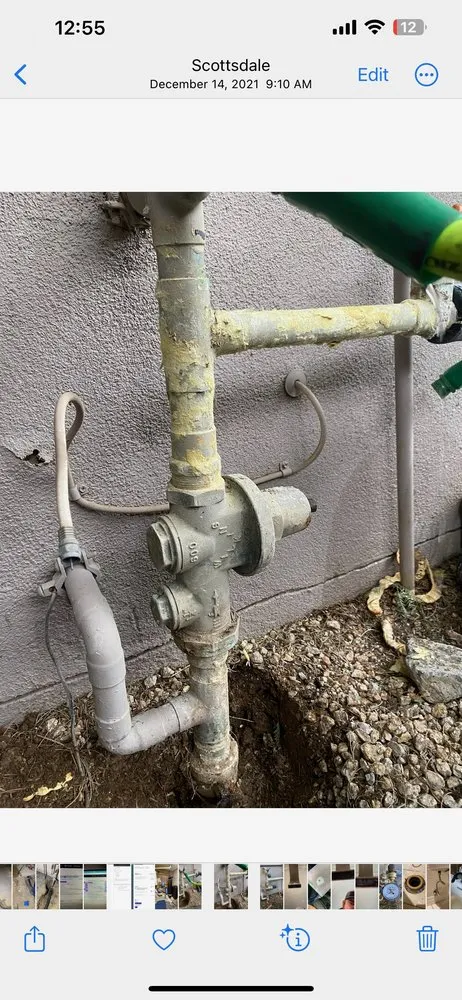 Slide of Primal Plumbing