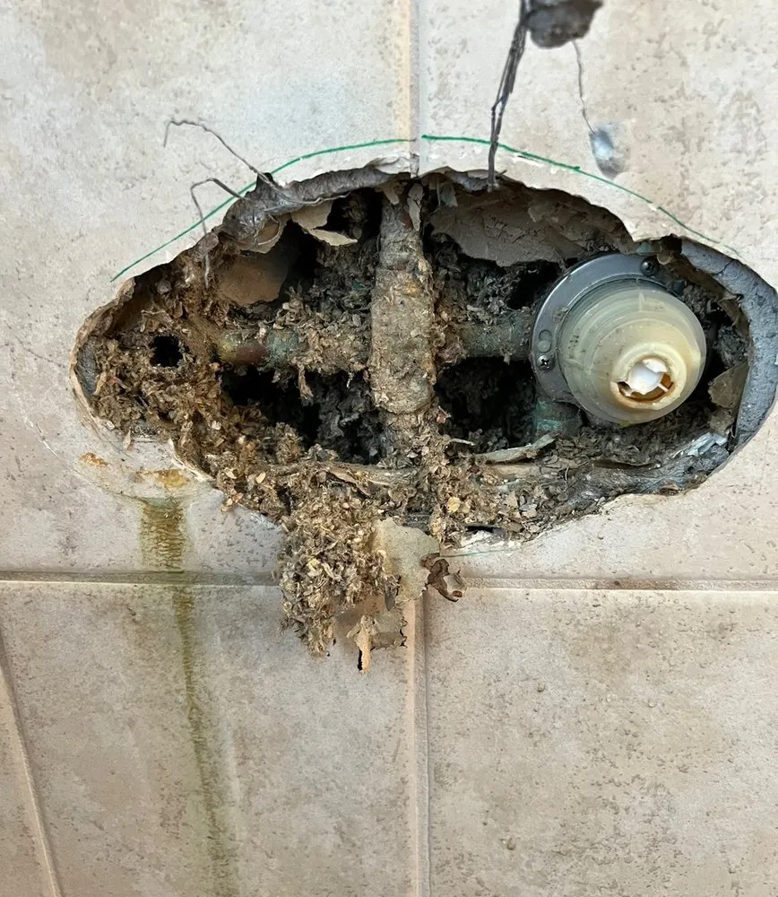 Expert pipe repair for homes in Phoenix, AZ by Primal Plumbing