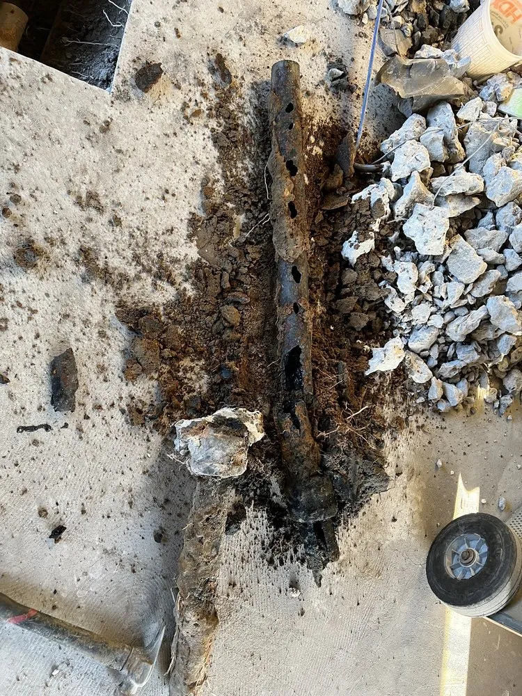 Slide of Prime Alternative