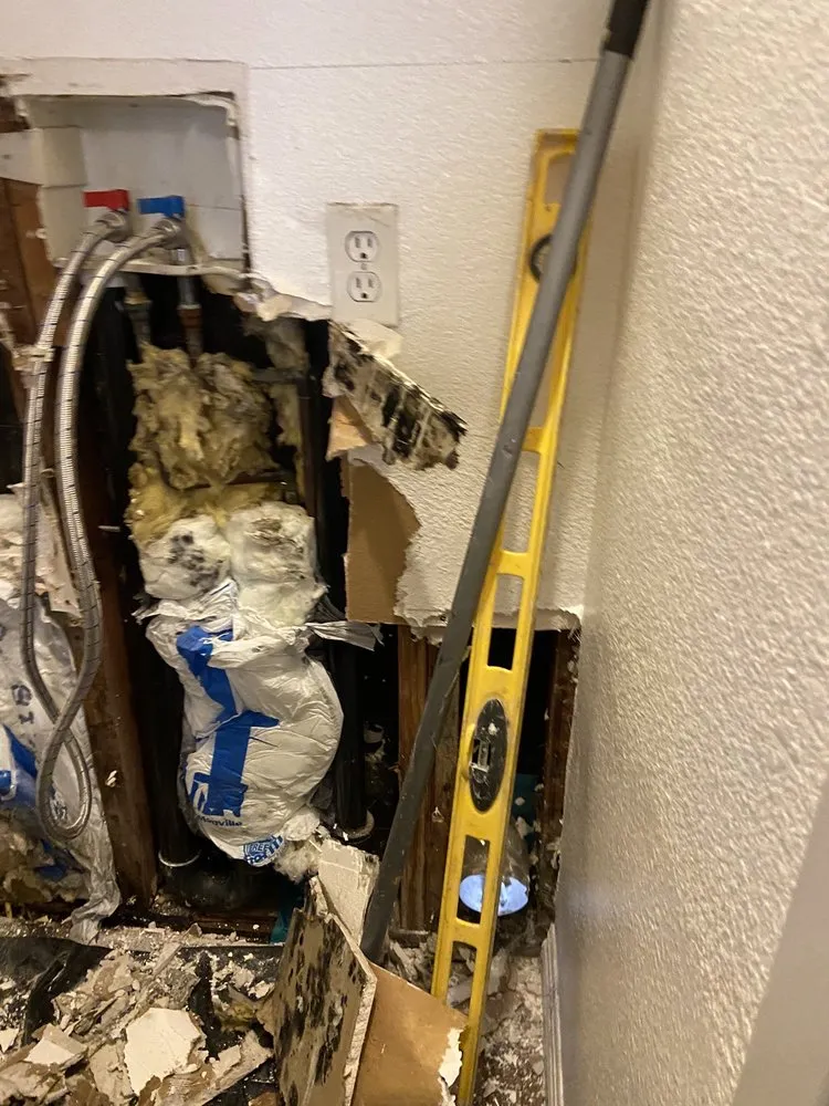 Slide of Prime Alternative