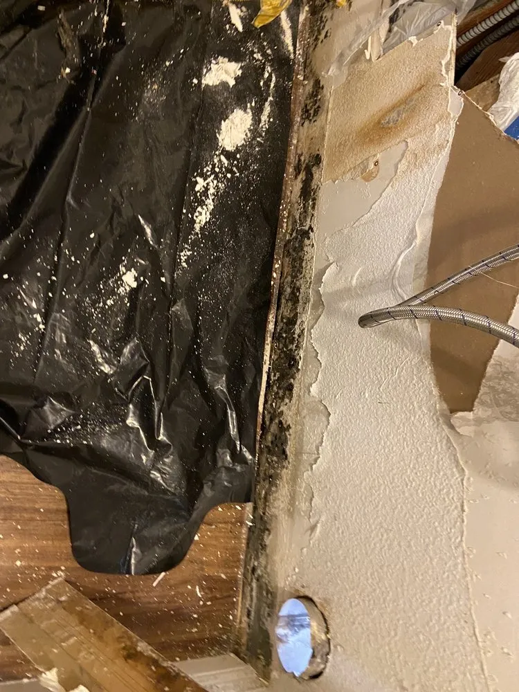 Slide of Prime Alternative