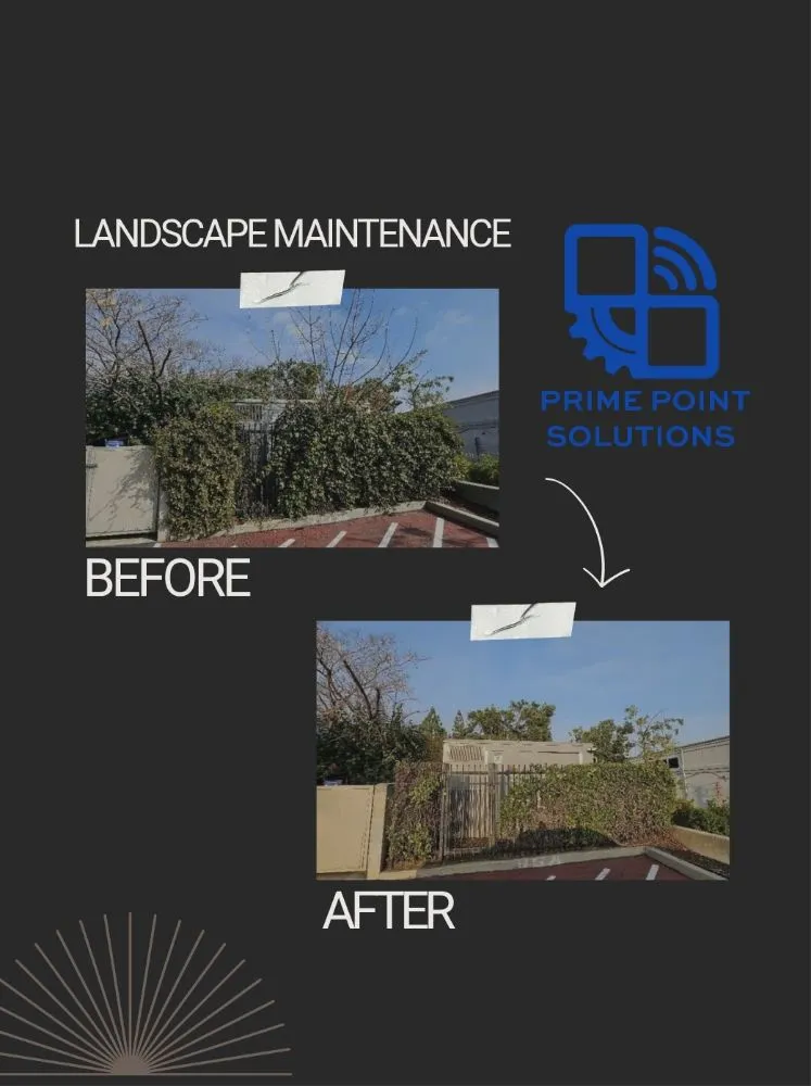 Slide of Prime Point Solutions