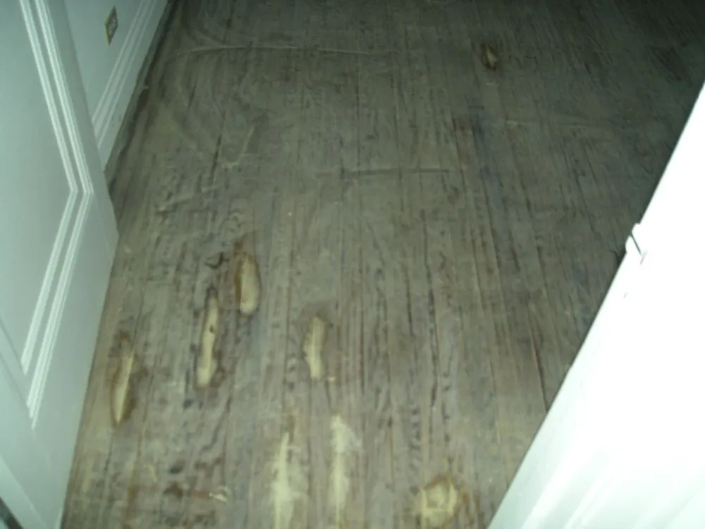 Slide of Primo Carpentry