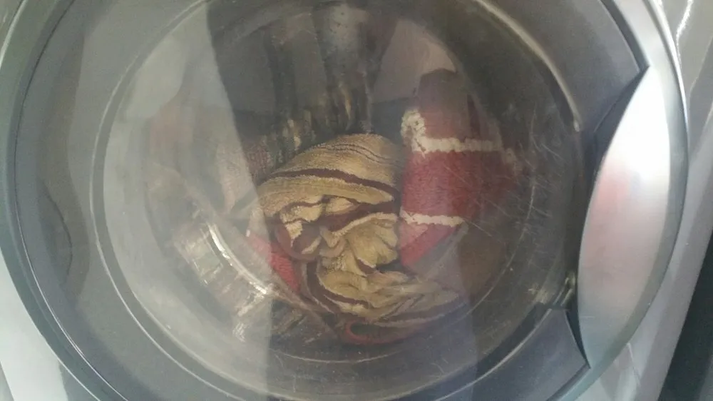 Affordable plumbing repair service in Long Beach, CA - Primo Plumbing & Heating Inc