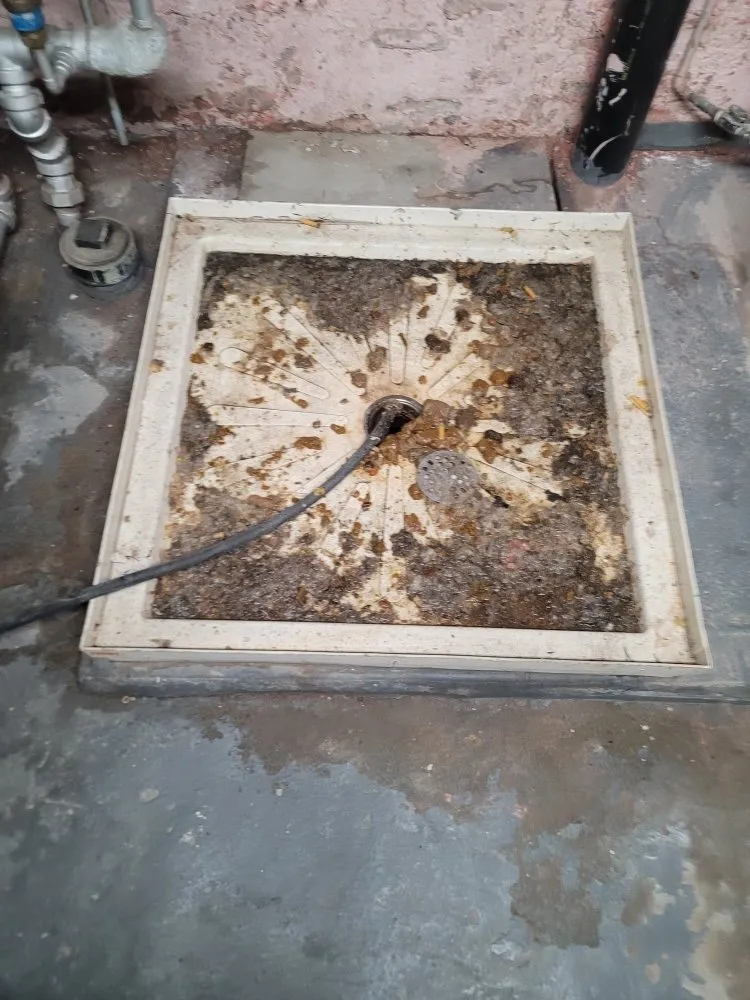 Slide of Primo Sewer Cleaning