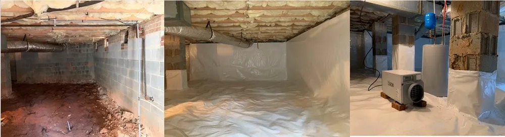 Slide of Primus Systems