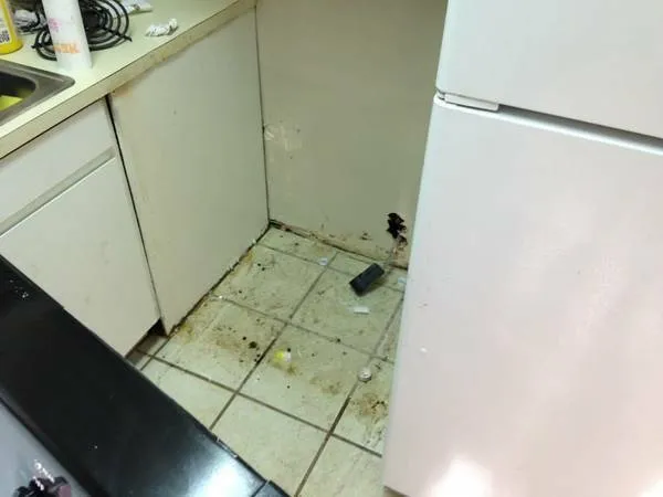 Slide of Pringle Property Services