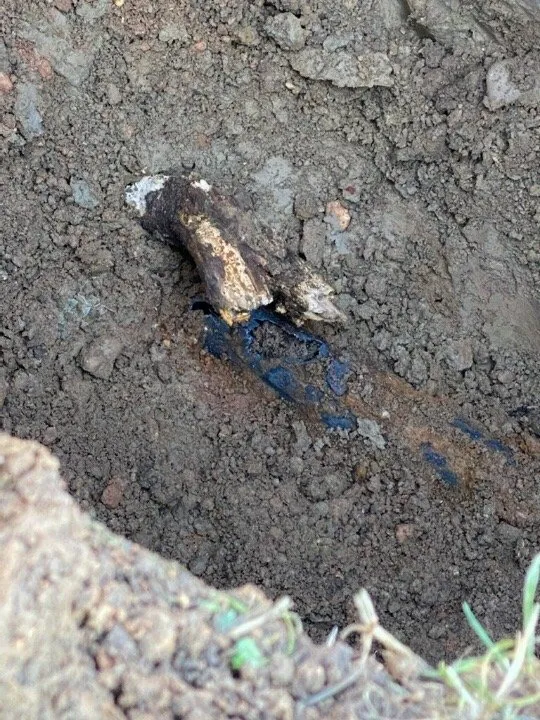 Slide of Priority Plumbing & Drain