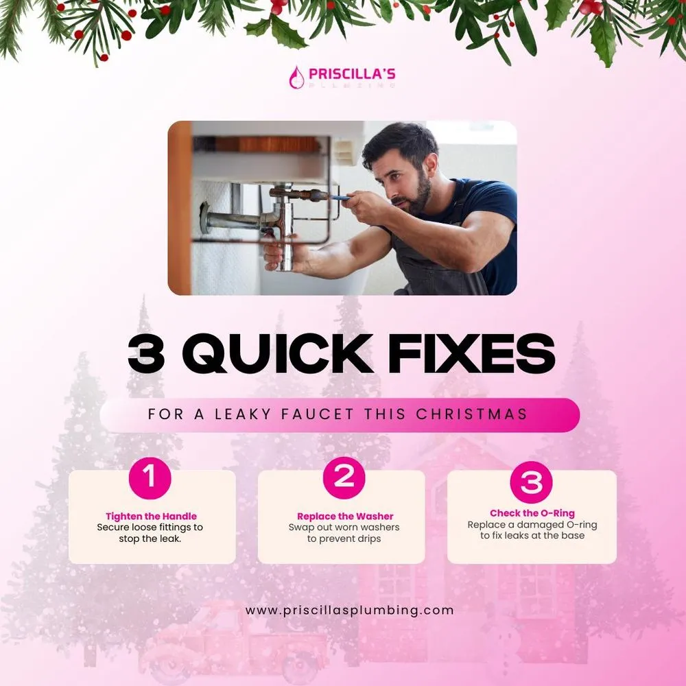 Slide of Priscilla's Plumbing