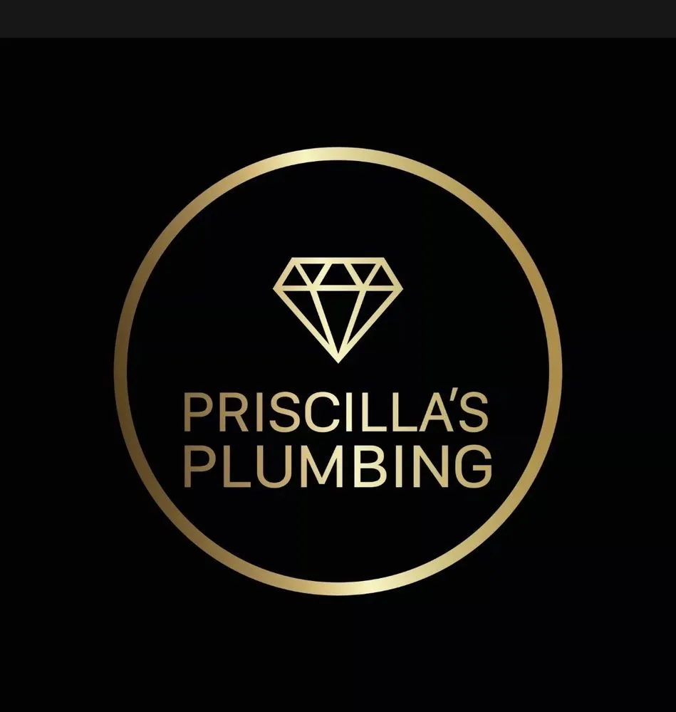 Slide of Priscilla's Plumbing