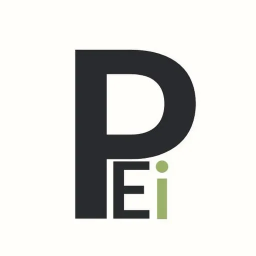 Slide of Pristine Engineers