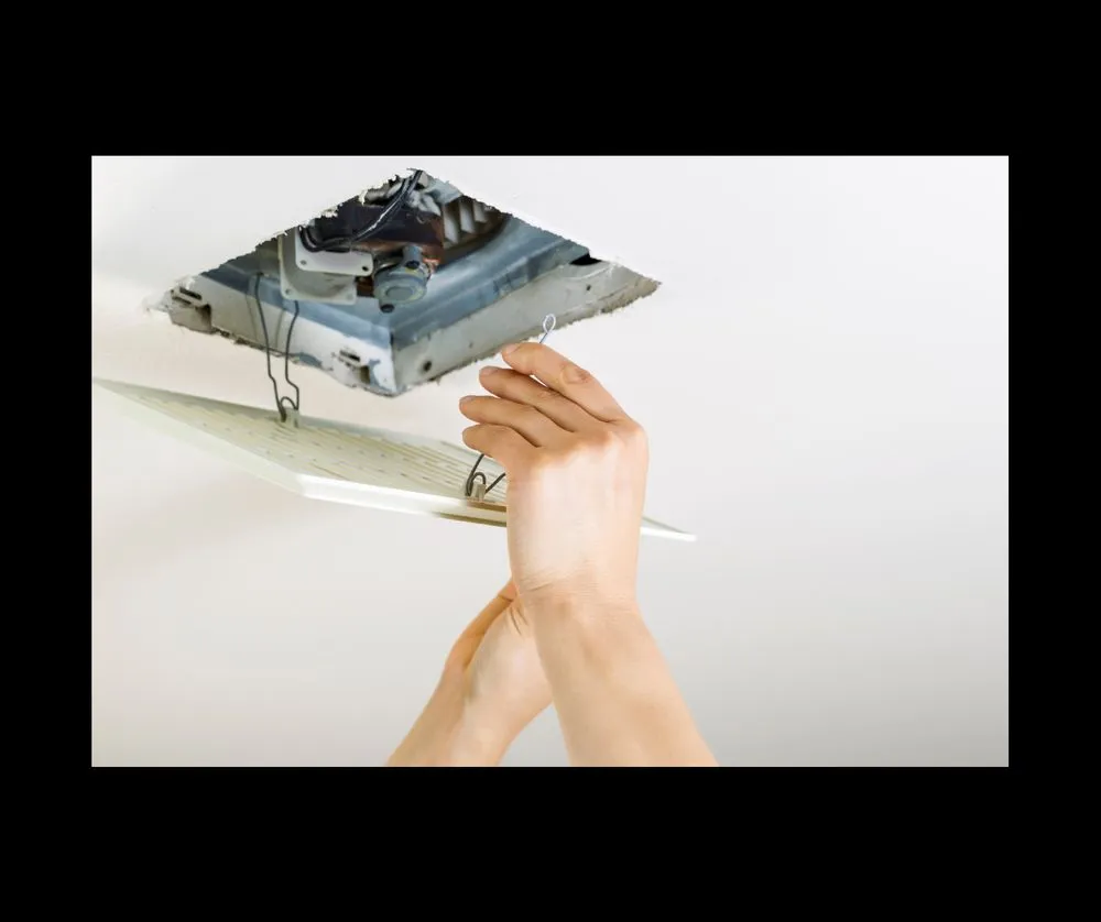 Slide of Pristine Handyman