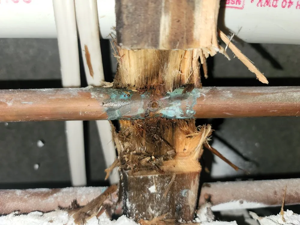 Slide of Pristine Plumbing