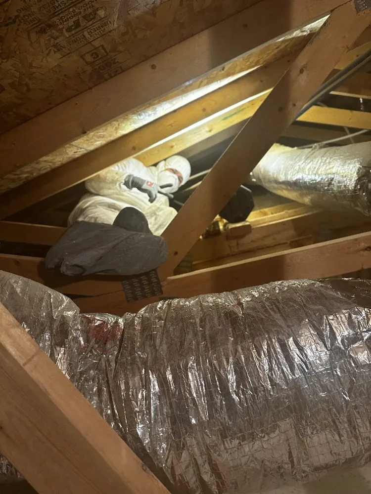 Slide of Pristine Plumbing