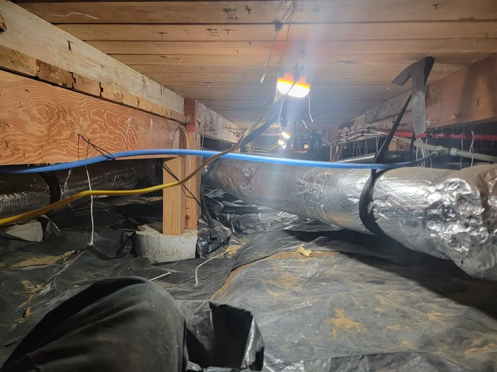 Slide of Pristine Plumbing