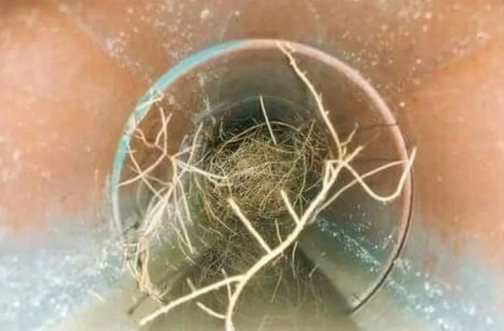 Slide of Private Utility Locating- Unearth Sonoran Desert Locating