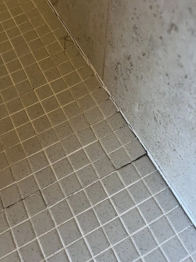 Slide of Pro Bath & Shower Caulking