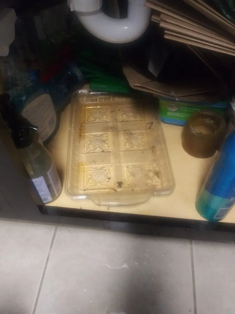 Expert plumbing repair in Beaverton, OR by Pro Drain & Rooter Service