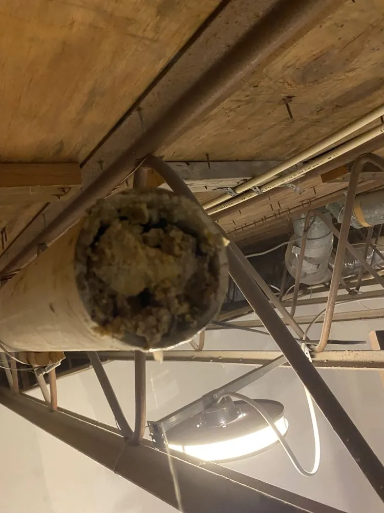 Slide of Pro Elevated Plumbing