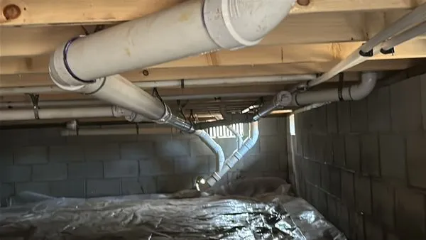 Pro Flush Drain Cleaning And Pipe Repair Logo