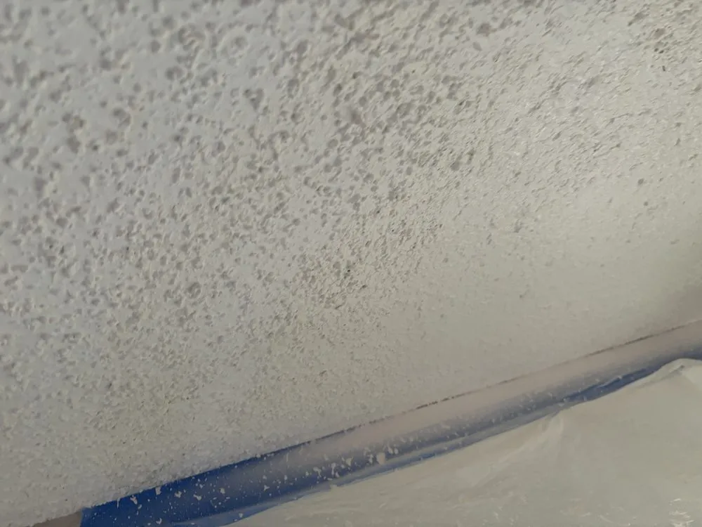 Slide of Pro Handyman Tom Pichardo