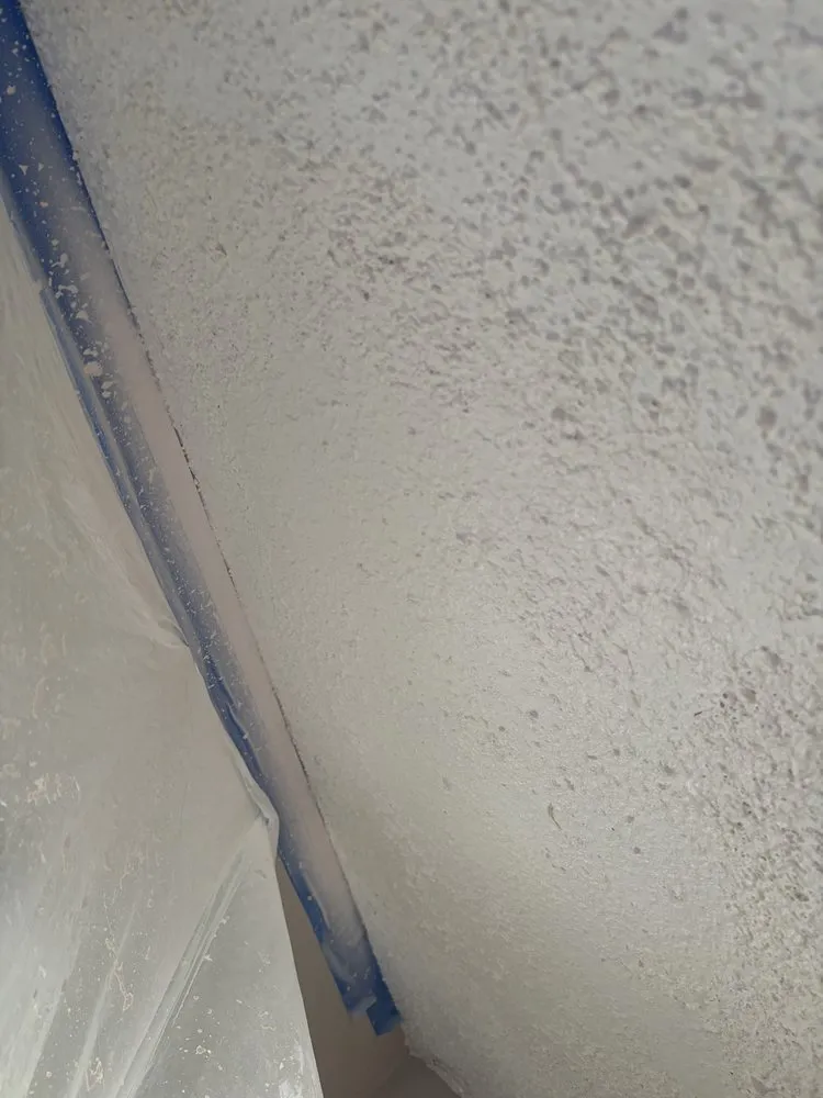 Slide of Pro Handyman Tom Pichardo