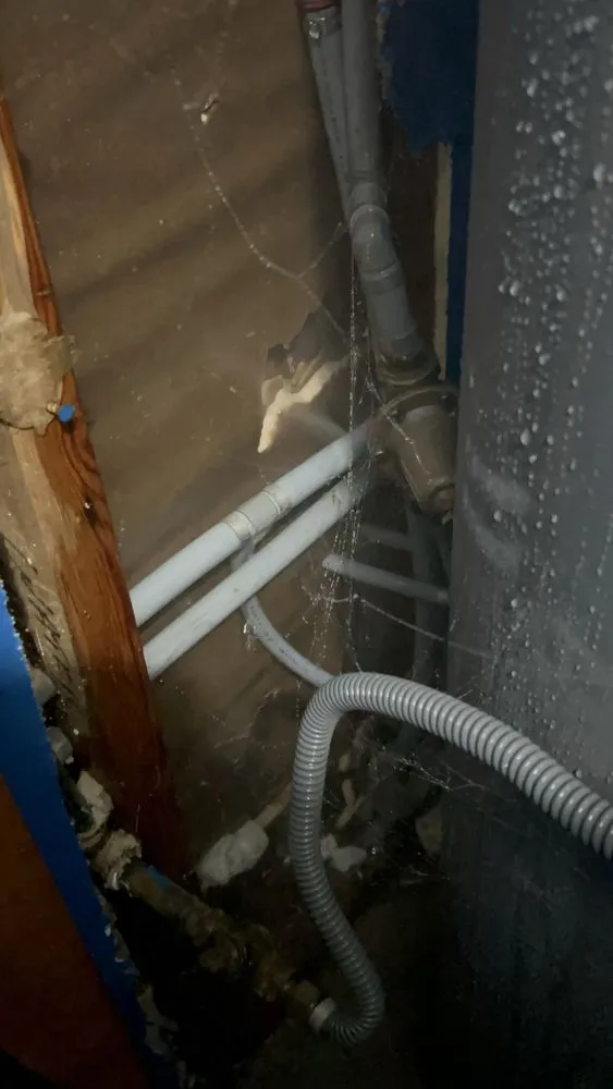 Slide of Pro Image Plumbing