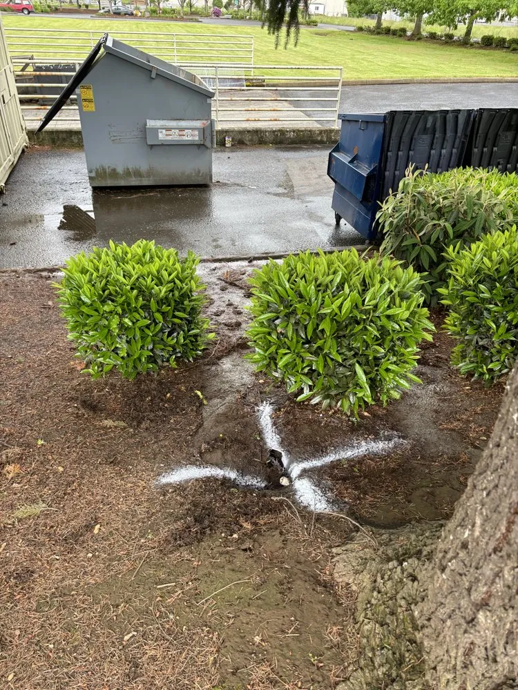 Slide of Pro Leak Detection