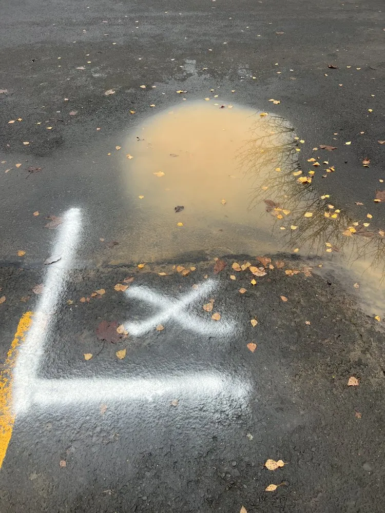 Slide of Pro Leak Detection