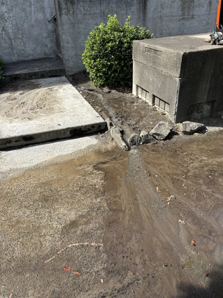 Slide of Pro Leak Detection