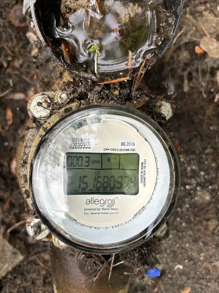 Slide of Pro Leak Detection