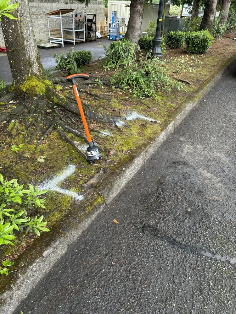 Slide of Pro Leak Detection