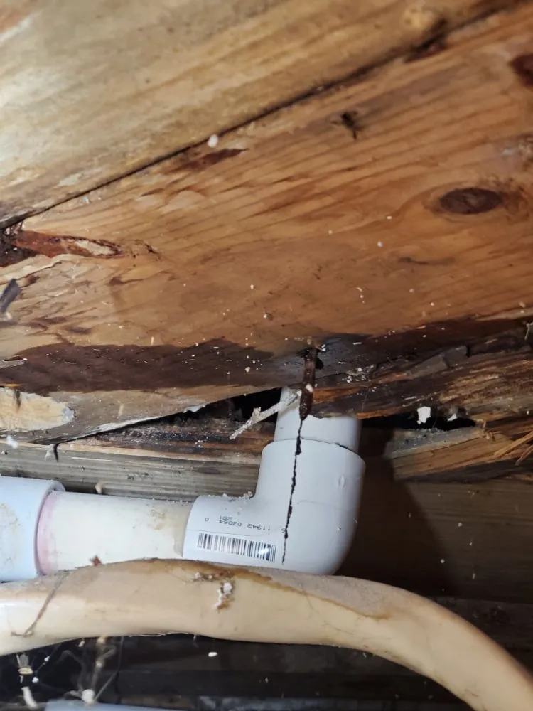 Slide of PRO-LINE Piping & Heating