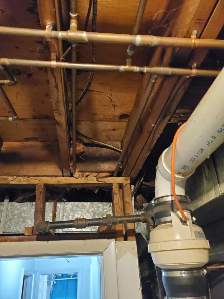 Expert drain cleaning experts serving Washington, DC, DC - PRO-LINE Piping & Heating