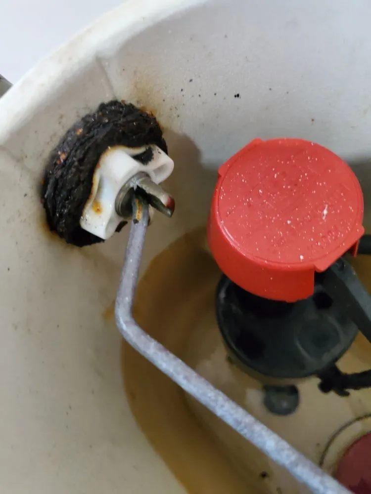 Quality water heater service service in Washington, DC, DC - PRO-LINE Piping & Heating