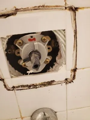 PRO-LINE Piping & Heating Logo