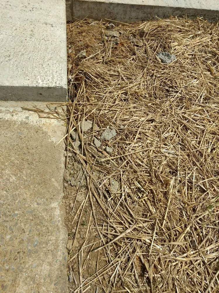 Slide of Pro N Stall