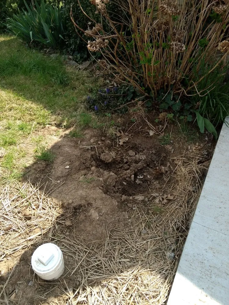 Slide of Pro N Stall