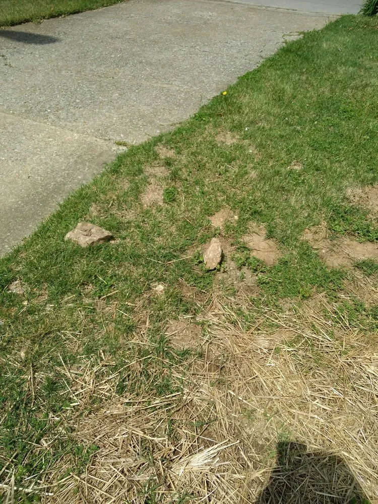 Slide of Pro N Stall