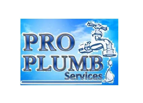 Pro Plumb Services