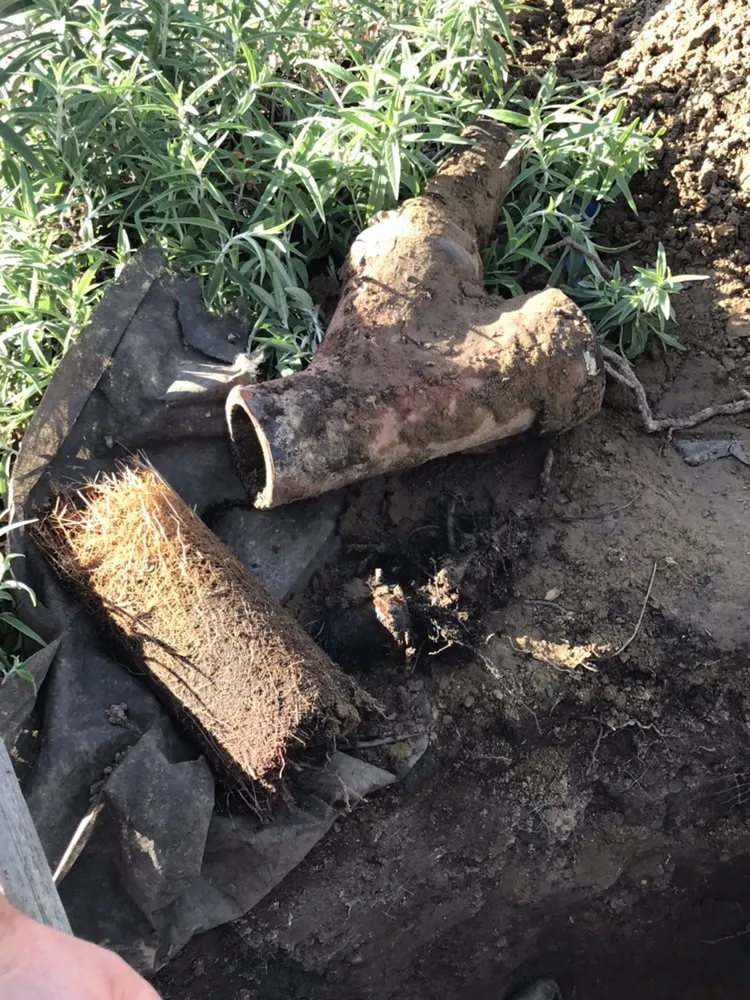 Reliable plumbing repair experts serving Los Angeles, CA - Pro Plumbers 24/7