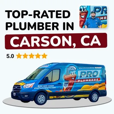 Pro Plumbers Logo
