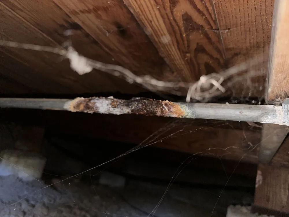 Slide of Pro Plumbing & Rooter