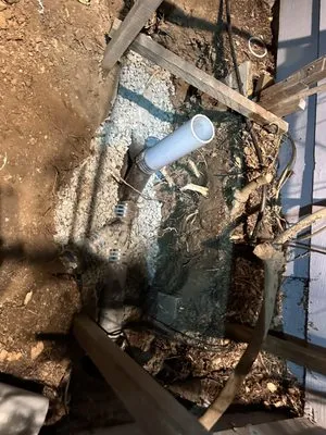 Pro Plumbing and Rooter Logo