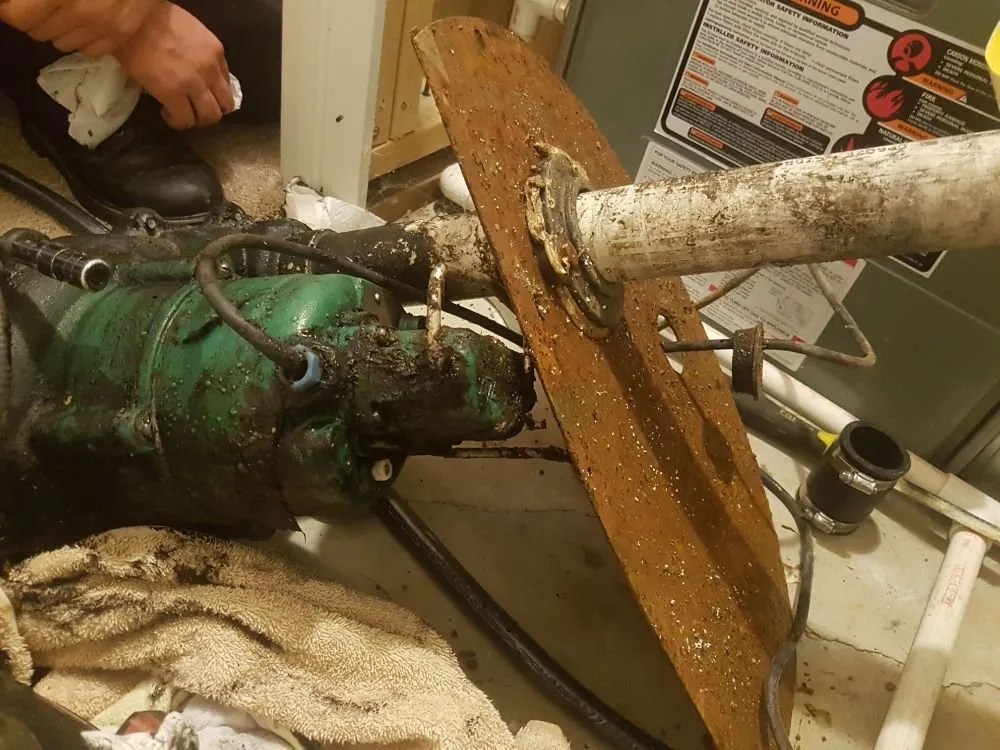 Slide of Pro Power Rooter