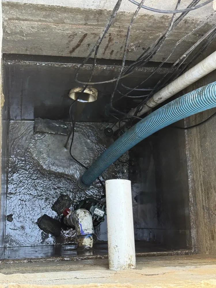 Slide of Pro Rooter and Septic - Visalia