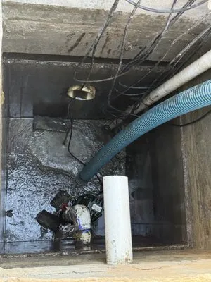 Pro Rooter and Septic - Visalia Logo