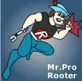 Slide of Pro Rooter