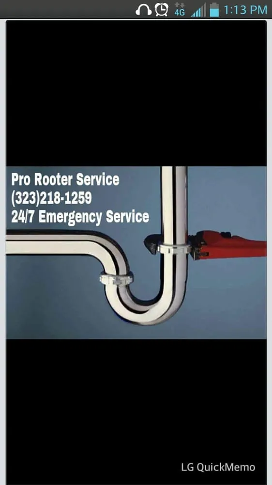 Slide of Pro Rooter Services